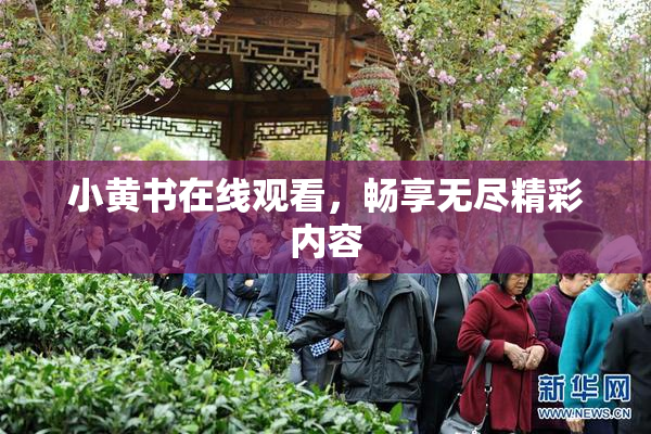 小黄书在线观看，畅享无尽精彩内容