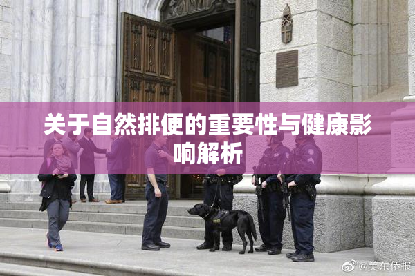 关于自然排便的重要性与健康影响解析