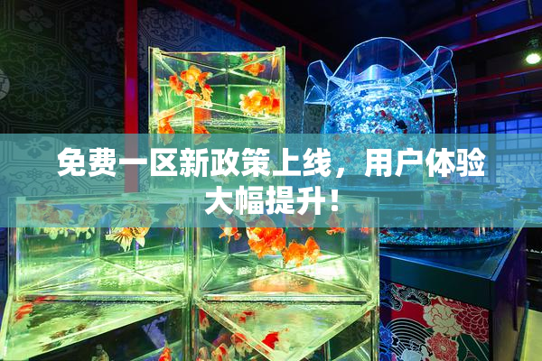 免费一区新政策上线，用户体验大幅提升！