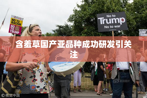 含羞草国产亚品种成功研发引关注