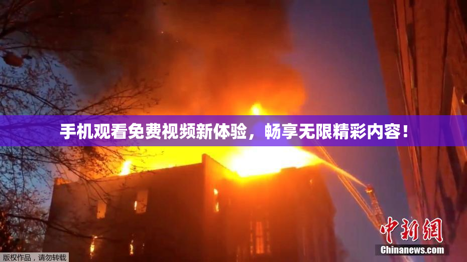 手机观看免费视频新体验，畅享无限精彩内容！