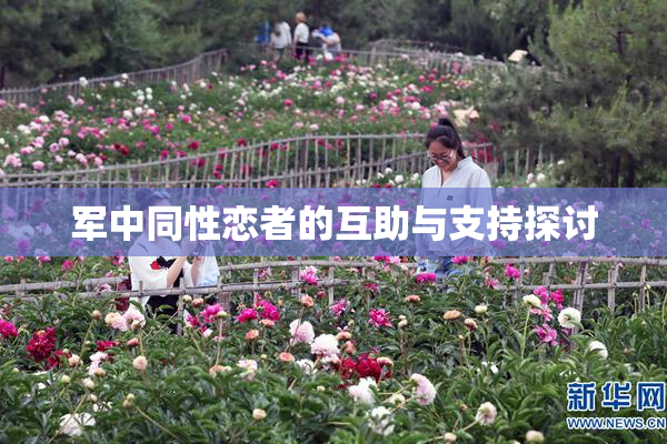 军中同性恋者的互助与支持探讨