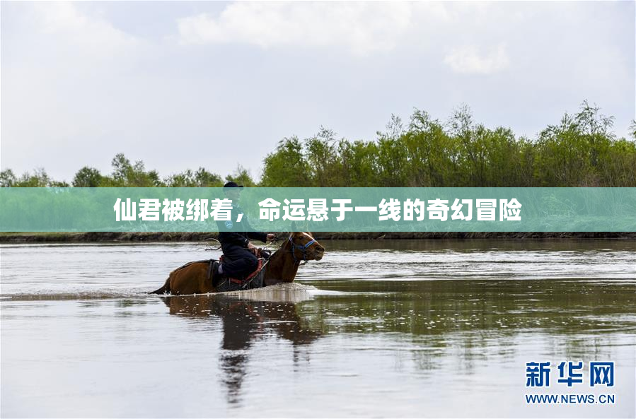 仙君被绑着，命运悬于一线的奇幻冒险