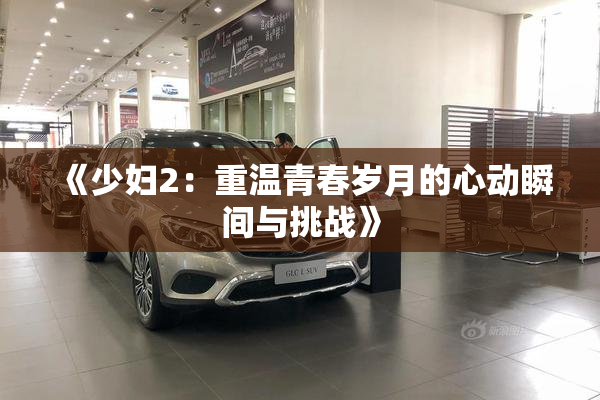 《少妇2：重温青春岁月的心动瞬间与挑战》