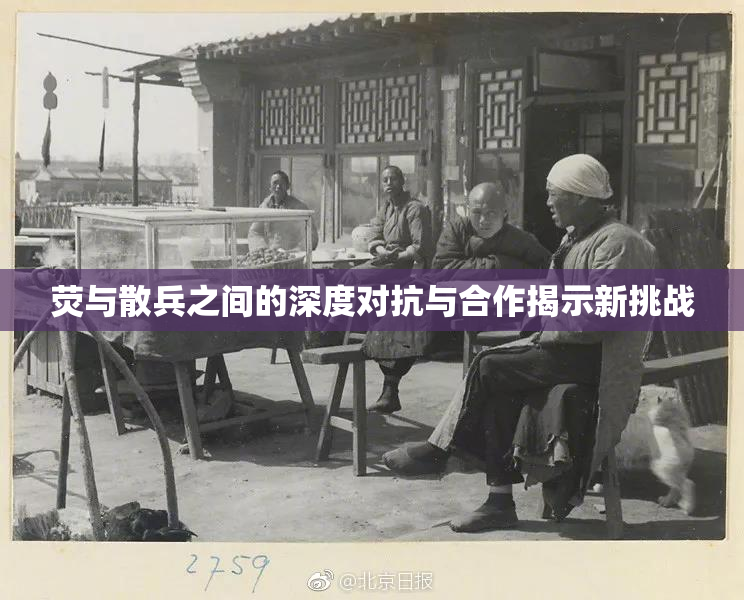 荧与散兵之间的深度对抗与合作揭示新挑战