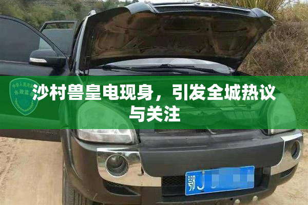沙村兽皇电现身，引发全城热议与关注