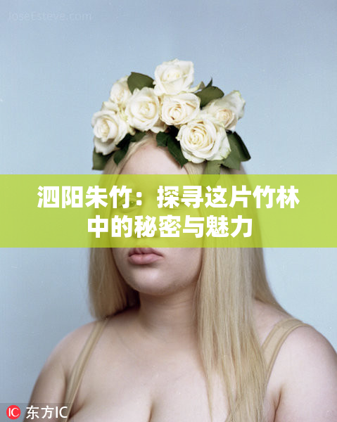泗阳朱竹：探寻这片竹林中的秘密与魅力
