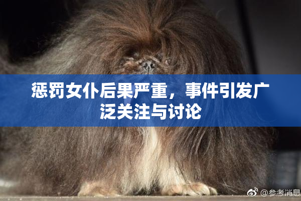 惩罚女仆后果严重，事件引发广泛关注与讨论