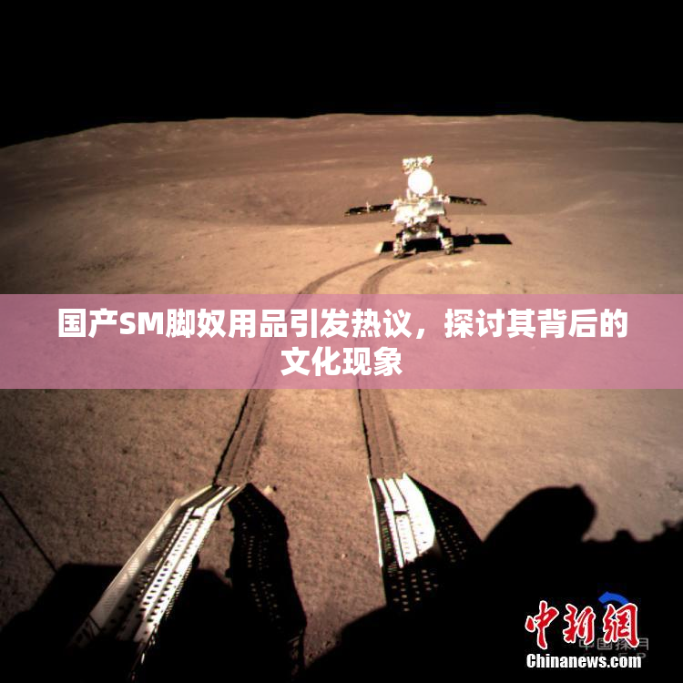 国产SM脚奴用品引发热议，探讨其背后的文化现象