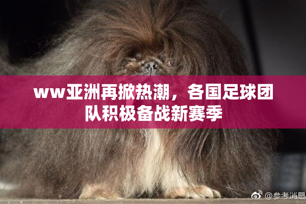 ww亚洲再掀热潮，各国足球团队积极备战新赛季