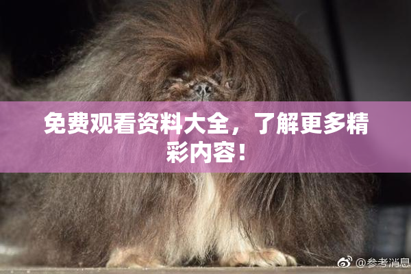 免费观看资料大全，了解更多精彩内容！