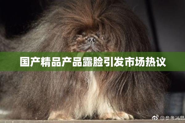 国产精品产品露脸引发市场热议