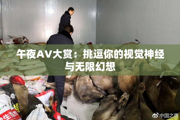 午夜AV大赏：挑逗你的视觉神经与无限幻想
