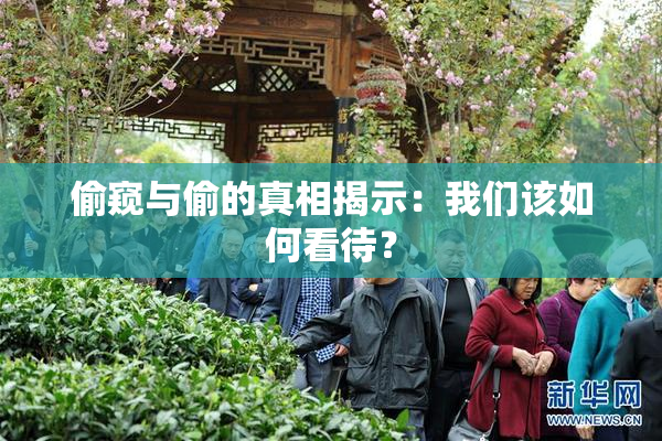 偷窥与偷的真相揭示：我们该如何看待？