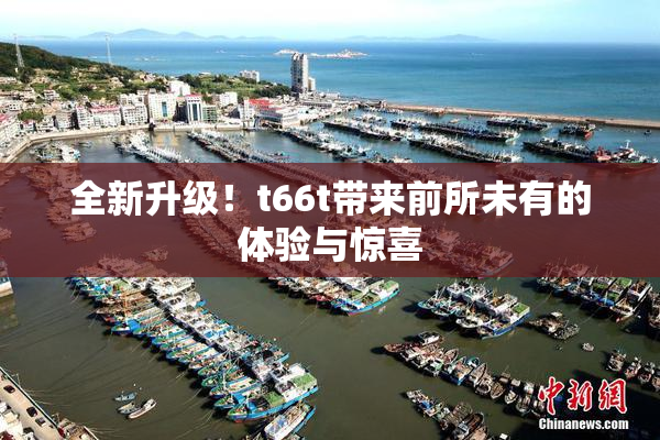 全新升级！t66t带来前所未有的体验与惊喜