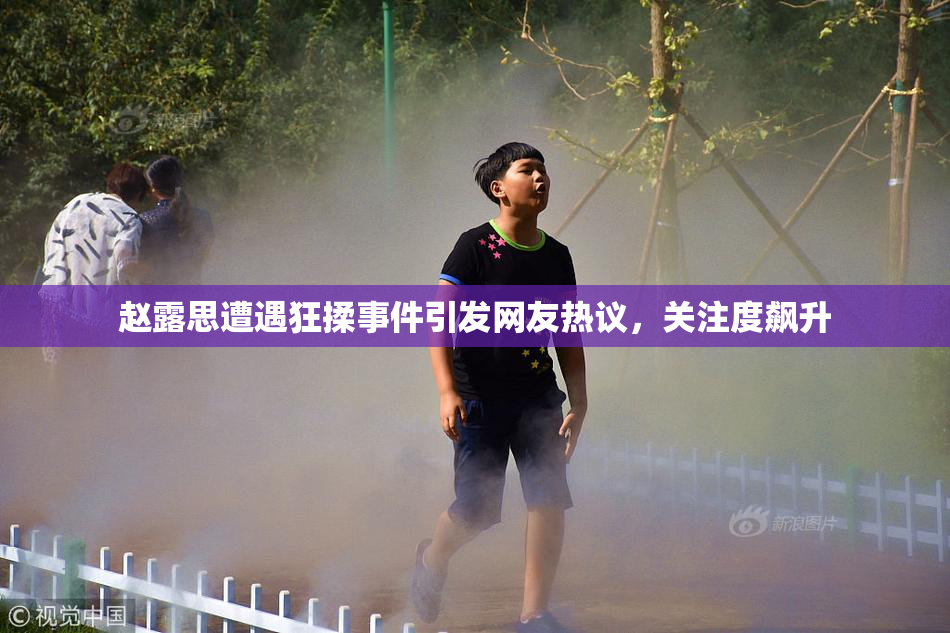 赵露思遭遇狂揉事件引发网友热议，关注度飙升