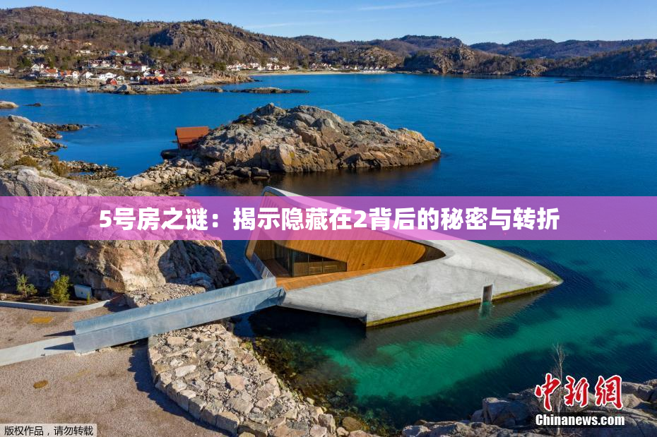 5号房之谜：揭示隐藏在2背后的秘密与转折