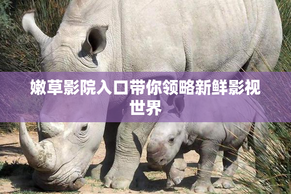 嫩草影院入口带你领略新鲜影视世界