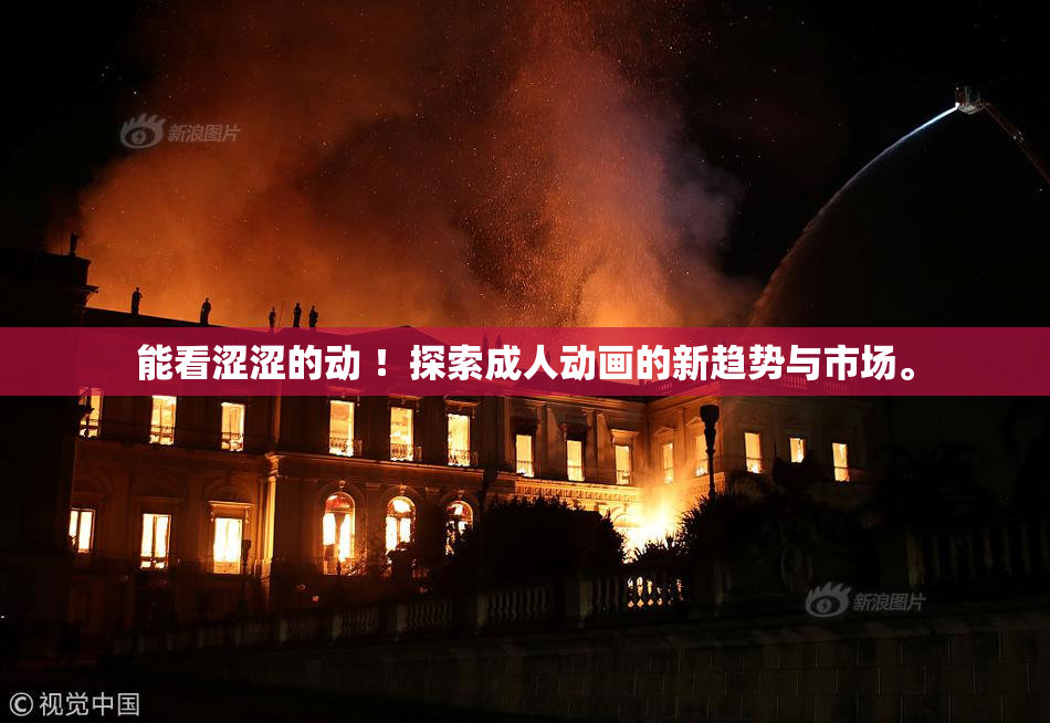 能看涩涩的动 ！探索成人动画的新趋势与市场。