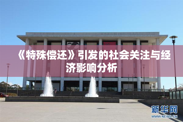 《特殊偿还》引发的社会关注与经济影响分析