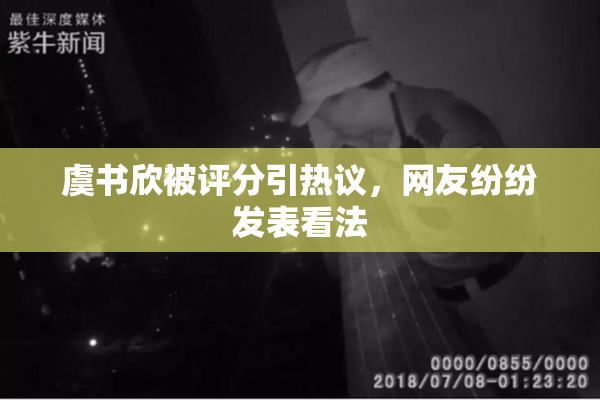虞书欣被评分引热议，网友纷纷发表看法