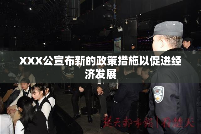XXX公宣布新的政策措施以促进经济发展