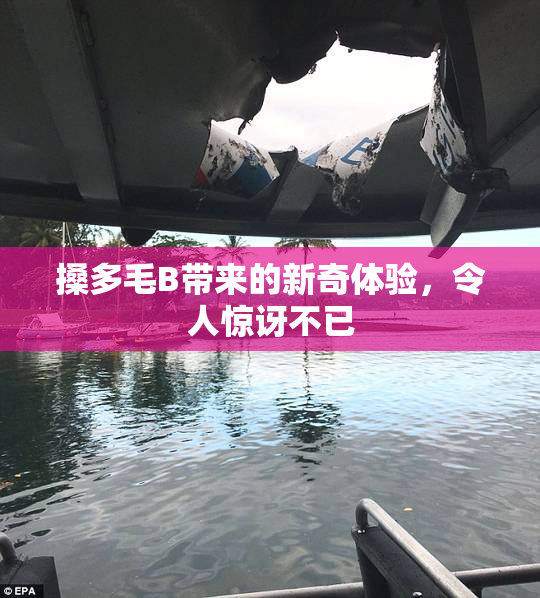 搡多毛B带来的新奇体验，令人惊讶不已