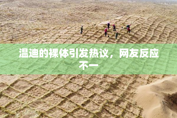 温迪的裸体引发热议，网友反应不一