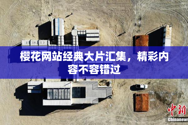 樱花网站经典大片汇集，精彩内容不容错过