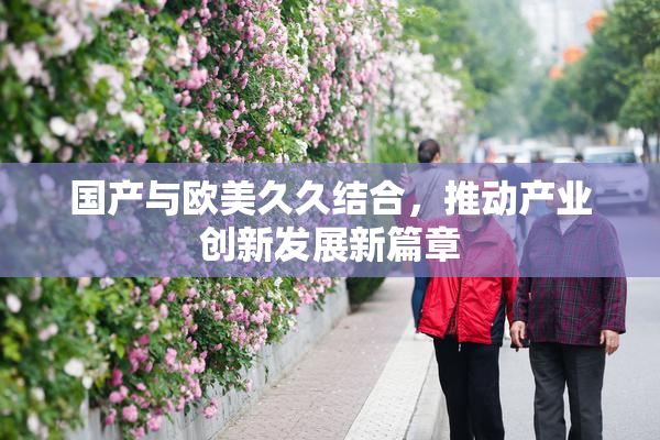 国产与欧美久久结合，推动产业创新发展新篇章