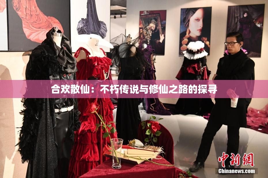 合欢散仙：不朽传说与修仙之路的探寻