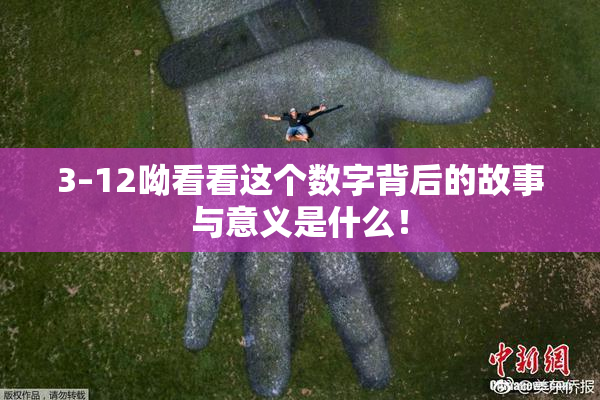 3–12呦看看这个数字背后的故事与意义是什么！