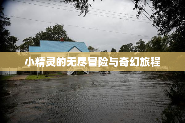 小精灵的无尽冒险与奇幻旅程
