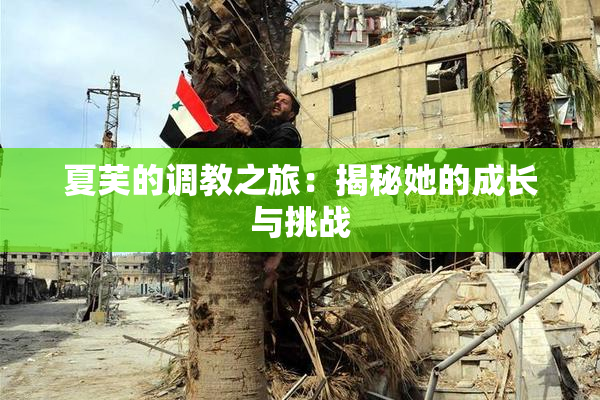 夏芙的调教之旅：揭秘她的成长与挑战