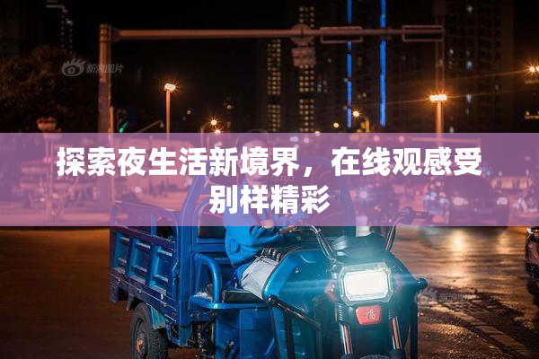探索夜生活新境界，在线观感受别样精彩