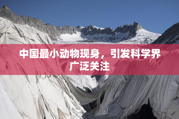 中国最小动物现身，引发科学界广泛关注