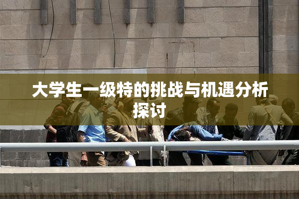 大学生一级特的挑战与机遇分析探讨