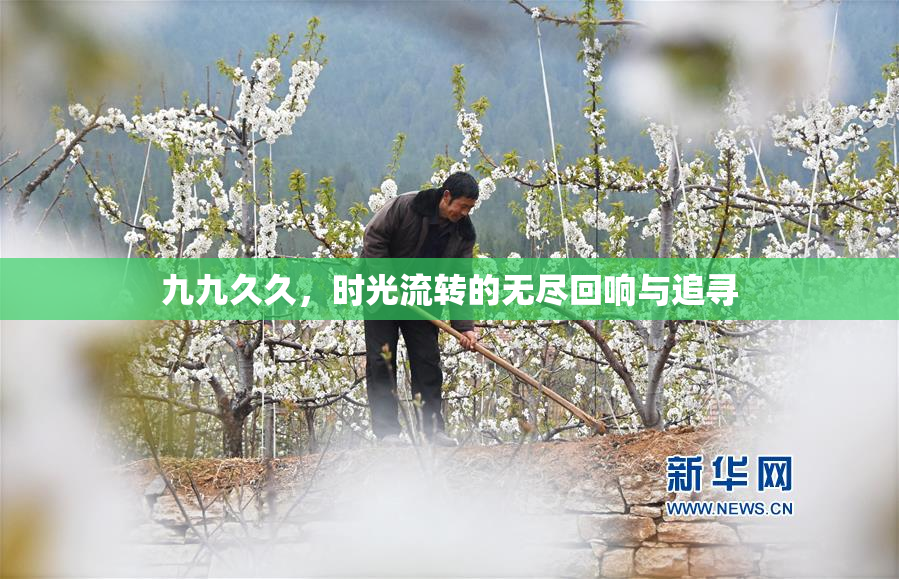 九九久久，时光流转的无尽回响与追寻