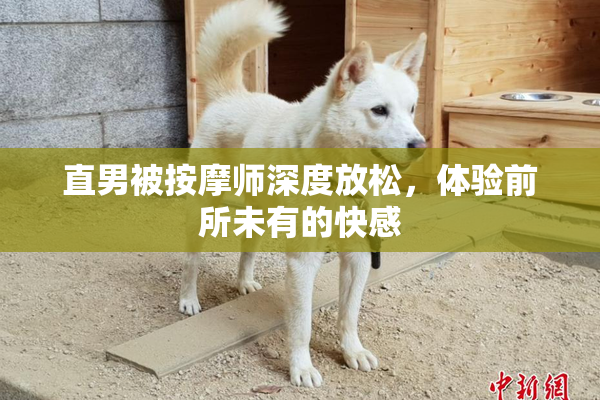直男被按摩师深度放松，体验前所未有的快感