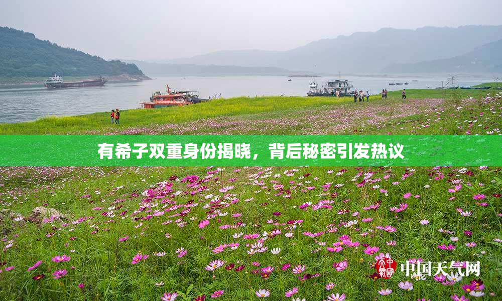 有希子双重身份揭晓，背后秘密引发热议