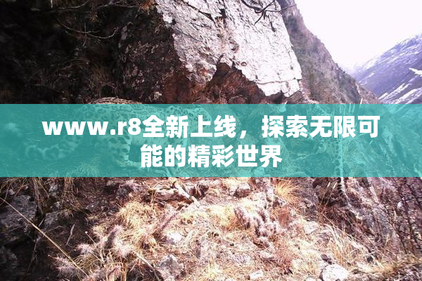 www.r8全新上线，探索无限可能的精彩世界