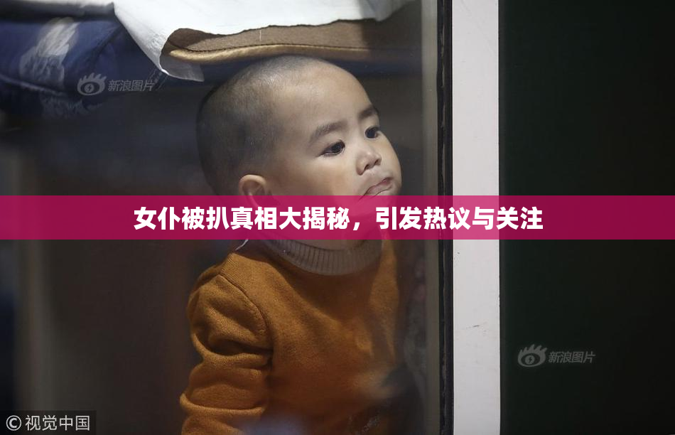 女仆被扒真相大揭秘，引发热议与关注