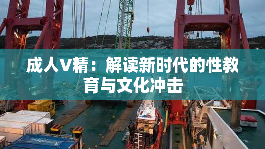 成人V精：解读新时代的性教育与文化冲击