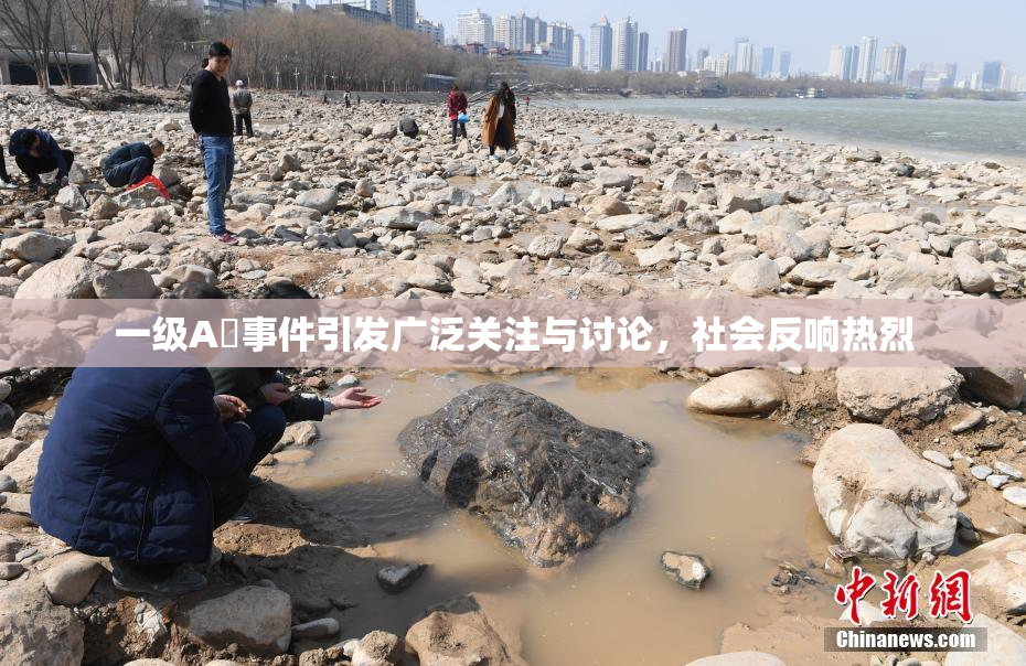 一级A婬事件引发广泛关注与讨论，社会反响热烈