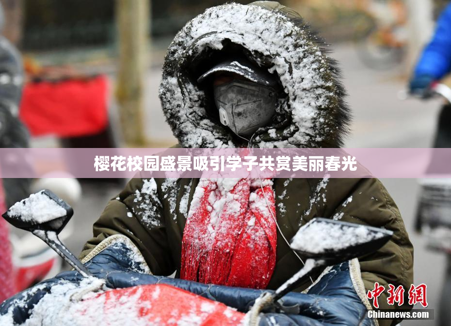 樱花校园盛景吸引学子共赏美丽春光