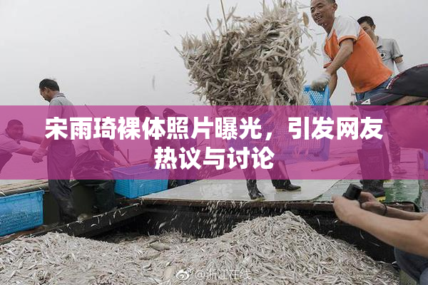 宋雨琦裸体照片曝光，引发网友热议与讨论