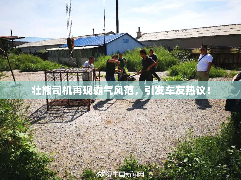 壮熊司机再现霸气风范，引发车友热议！