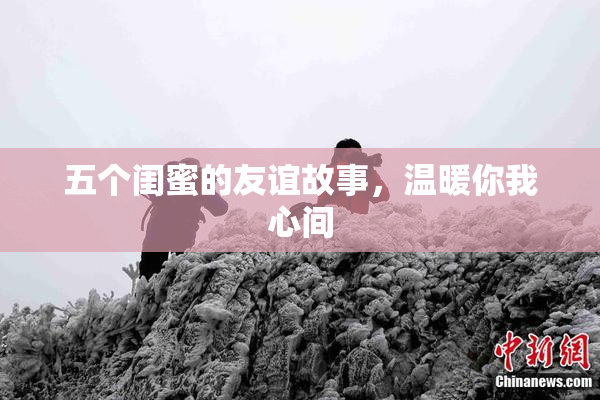 五个闺蜜的友谊故事，温暖你我心间