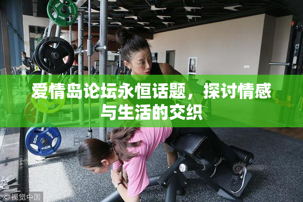 爱情岛论坛永恒话题，探讨情感与生活的交织
