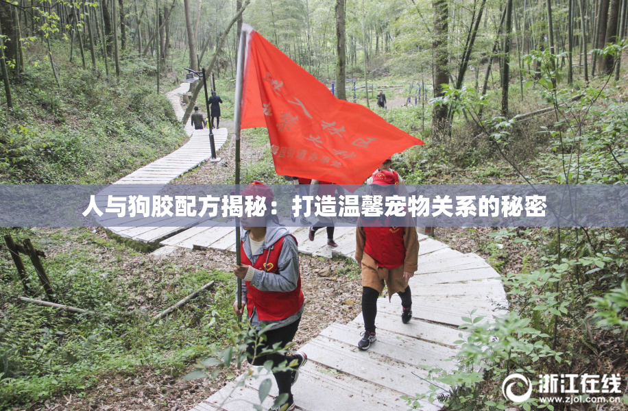 人与狗胶配方揭秘：打造温馨宠物关系的秘密